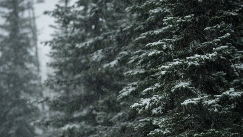 Мороз до –17 градусов и снег ждет жителей Сахалина и Курил 22 ноября