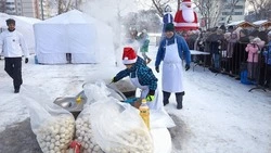 Островитян приглашают на масштабный фестиваль пельменей в городской парк Южно-Сахалинска 