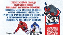 «Сахалинские львы» объявили набор игроков во взрослую команду по следж-хоккею