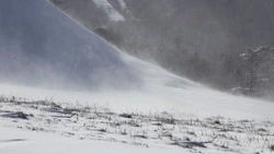 Прогноз погоды на Сахалине и Курилах 29 ноября: много снега и сильный ветер