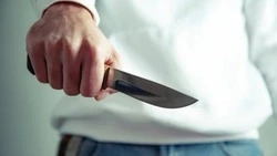 Житель Поронайска получил 3 года колонии за нападение на знакомого с ножом