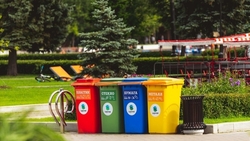 Сахалинская область получит 1,5 млн рублей на контейнеры для раздельного сбора мусора