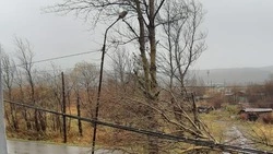 Сахалин приходит в себя после урагана. Жители благодарят электриков