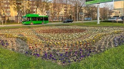 Маршруты двух автобусов в Южно-Сахалинске изменили до 1 октября