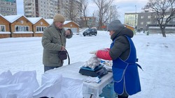 Продажа свежей наваги по программе «Доступная рыба» началась на Сахалине