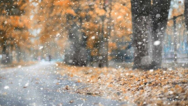 Погода в Южно-Сахалинске 11 ноября: -1 градус и ветер с севера