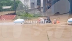 Российские туристы на катамаранах спасли 40 человек в затопленном Нячанге