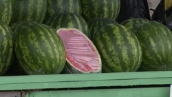 Сезон арбуза: где и как купить качественный продукт