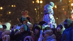 Главную елку Сахалинской области зажгли перед Домом правительства 16 декабря