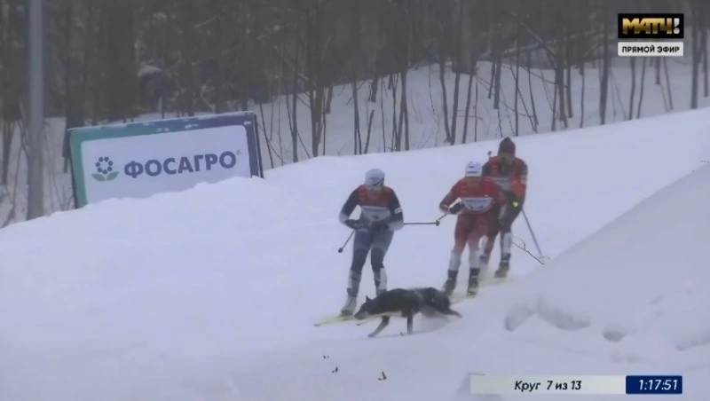 «Крепкого здоровья спортсменке»: в сахалинском минспорте прокомментировали инцидент на лыжных гонках