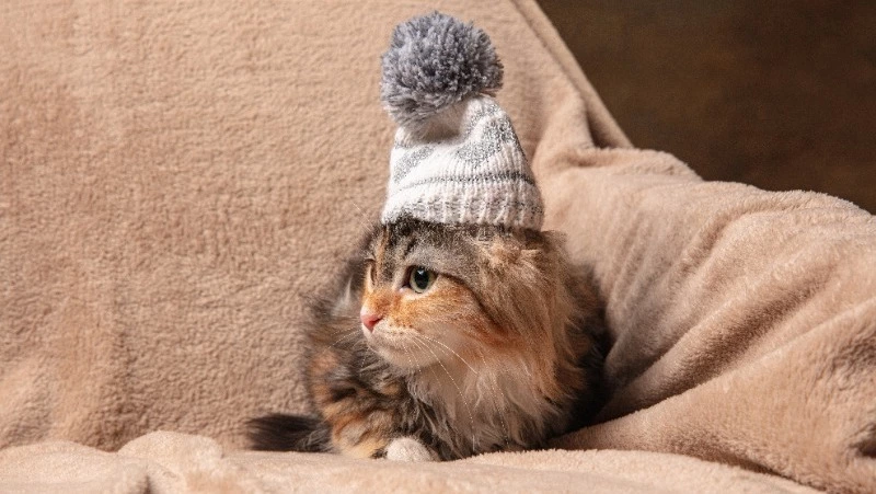 Несколько улиц в Южно-Сахалинске остались без тепла на шесть часов 21 февраля 