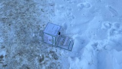 Вандалы сорвали копилку приюта для животных в Поронайске 