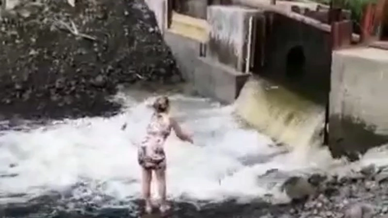 Сахалинцы руками помогли рыбе доплыть до нерестовой реки. «Торчат сверху плавники»