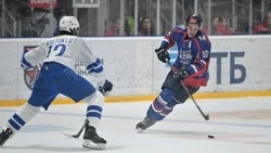 «Грубейшие ошибки в обороне»: как прошел первый матч хоккейного сезона на Сахалине