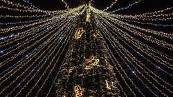 Как выглядят новогодние елки Сахалинской области. Видео
