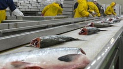 Экспорт рыбы и морепродуктов из Приморья и с Сахалина вырос на 7 тысяч тонн за неделю