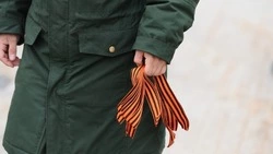 Госдума приняла закон о наказании за осквернение георгиевской ленты