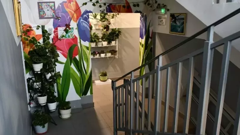 Образцовый энтузиазм: два примера того, как обычный подъезд можно превратить в уютное местечко