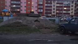 Полчища крыс захватили двор жилого дома в Поронайском районе