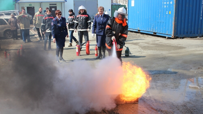 Сахалинские учителя прошли обучение в ВДПО