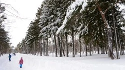 Снежно и ветрено будет в Южно-Сахалинске 6 февраля 