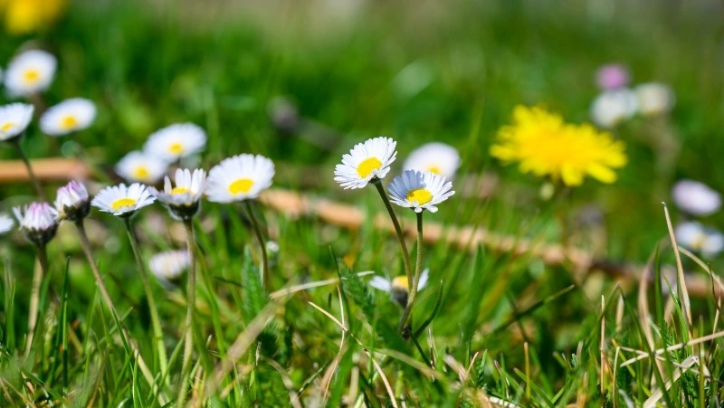 Церковный праздник 12 мая 2025: что нельзя делать в этот день, приметы