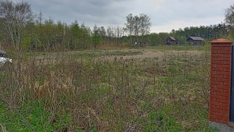 На Сахалине у застройщика, виновного в мошенничестве, могут забрать единственную квартиру