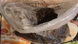 Полицейские изъяли целый пакет каннабиса у сахалинца 