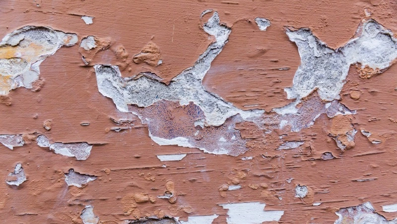 Директора УК из Долинска и Невельска заплатят штрафы за плохое содержание домов