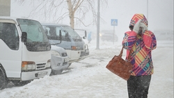 В День всех влюбленных на юг Сахалина обрушится метель