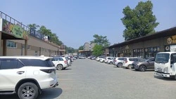 Летняя погода и +25 градусов порадуют жителей Южно-Сахалинска 18 июля