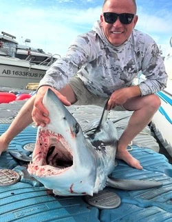 Сахалинские рыбаки съели акулу, которая охотилась на их улов