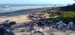 Сахалинцев зовут принять участие в акции по уборке мусора