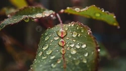 Приметы обо всем на 13 июля 2023 года: что можно и нельзя делать в этот день