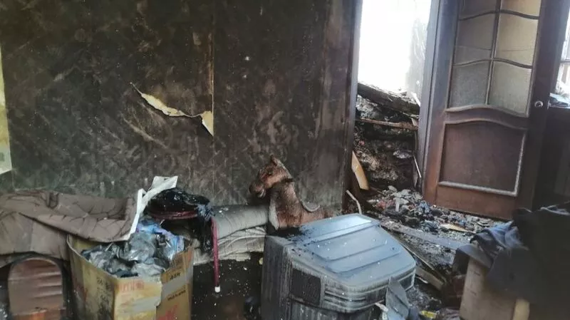 Лимаренко поручил помочь муниципалитету с покупкой жилья для красногорцев