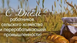 С Днем работника сельского хозяйства 2024: картинки к празднику
