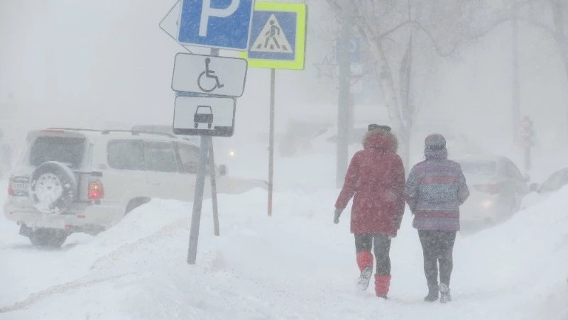Метель и сильный ветер прогнозируют в Сахалинской области 19 февраля