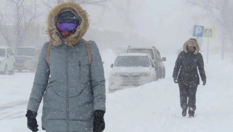 Сильную метель ожидают в южных районах Сахалина 15 и 16 февраля