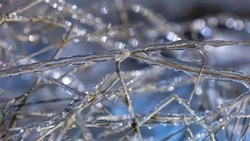 Сильный ветер и осадки спрогнозировали в Южно-Сахалинске 11 апреля 