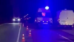 Микроавтобус сбил пенсионерку на пешеходном переходе в Корсаковском районе