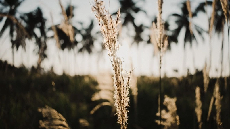 В Сахалинской области будет больше станций контроля качества воздуха