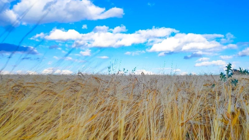 «Мы — нация победителей»: глава МГЕР на Сахалине поддержала спецоперацию на Украине