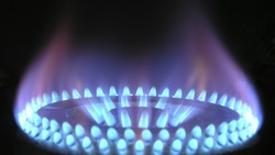  Госдума приняла в трех чтениях закон о газообслуживающих компаниях