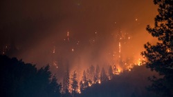 На севере Сахалина локализовали лесной пожар