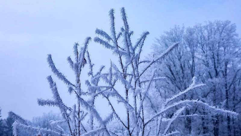 Мороз и снег ждет жителей Сахалина и Курил 5 декабря