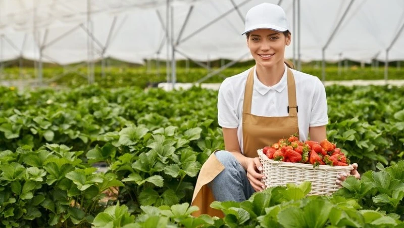 Землевладельцы Сахалина заработали 8 млрд рублей в 2024 году