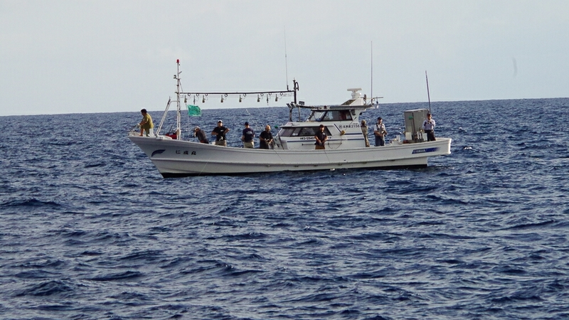 Доступная марина