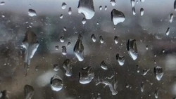 Дождь и ветер ожидают жителей Южно-Сахалинска 1 июля