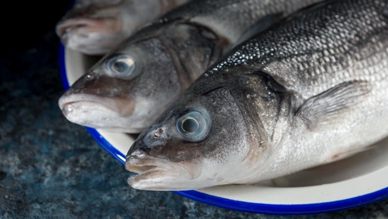 Жителей Южно-Сахалинска пригласили приобрести навагу по низкой цене 25 января
