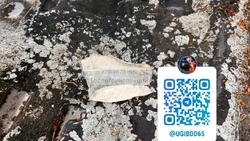 Наркотики в салоне остановленного авто нашли инспекторы в Южно-Сахалинске